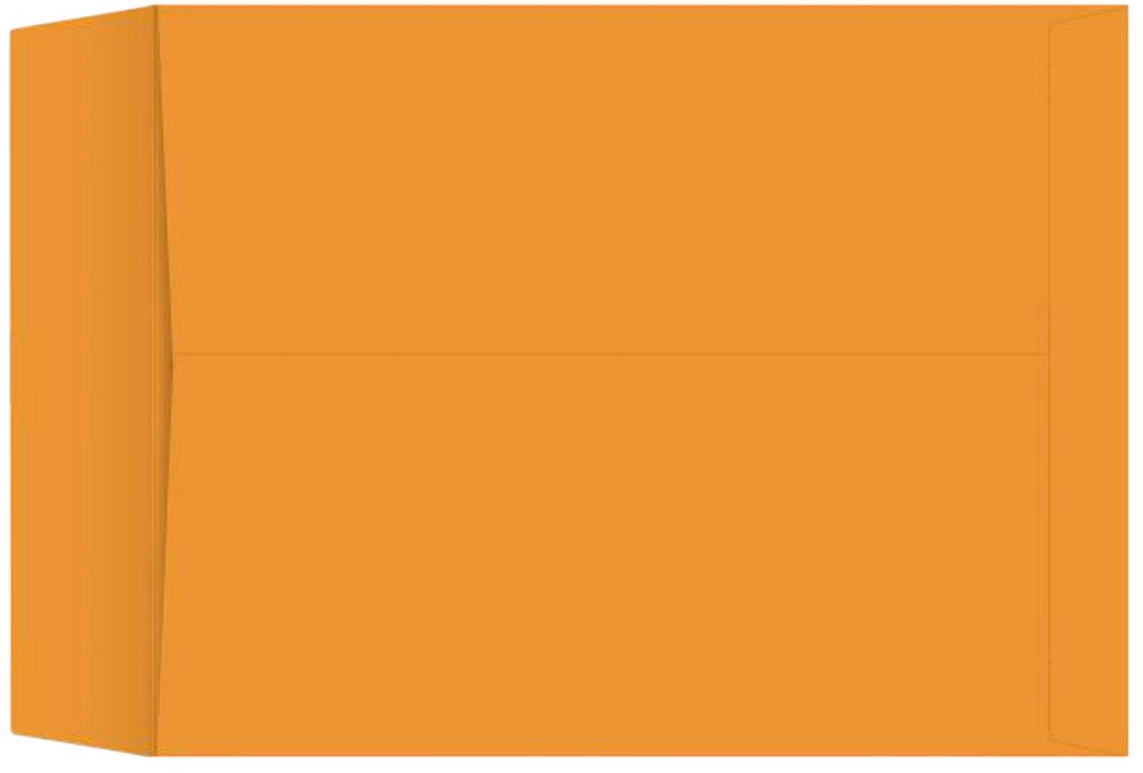 School Smart Catalog Envelopes, 17 x 22 Inches, Kraft, Box of 25 2133837